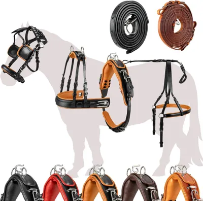 A collection of horse harnesses and reins laid out on a white background, with a faint silhouette of a horse behind them.
