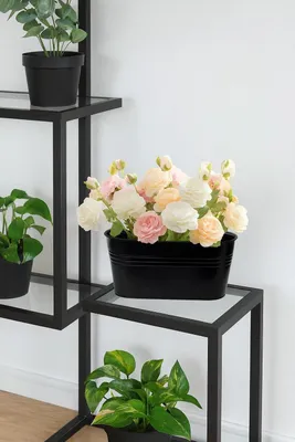 Produktbild von 28cm Hängende Blumentöpfe - Set von 3 Schwarzen Metallblumenkästen für Innen und Außen mit Abnehmbaren Haken und Drainagelöchern - Geeignet für Zäune und Balkone, 28cm