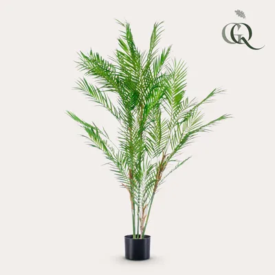 Produktbild von Künstliche Pflanze - Chamaedorea Elegans - Bergpalme