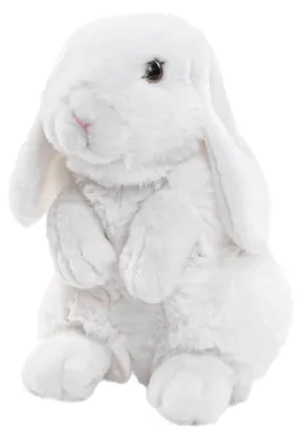Image de Lapin en peluche 20cm - - ECO-FRIENDLY