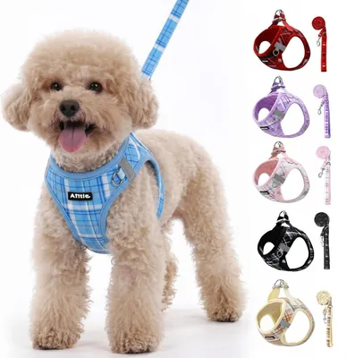Image de Harnais pour chien avec laisse, réfléchissant, réglable, bleu, taille XXS