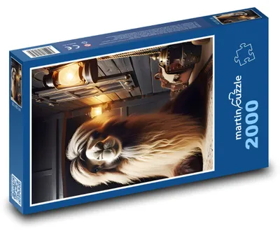 Obrázok produktu pre Puzzle 2000 Lev na Povale - martinpuzzle