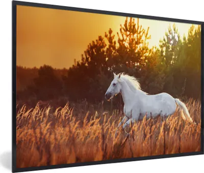 Produktbild von MuchoWow® MuchoWow® Gerahmtes Poster Pferd - Gras - Baum - Sonne 90x60 cm - Poster mit zchwarzem Bilderrahmen - Fotorahmen - Foto-Plakat