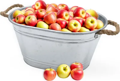Immagine prodotto di 3.06 Vasca in zinco argentato con manici in corda naturale - circa 64 cm x 42 cm x 25 cm - Vasca da giardino in zinco (grande)