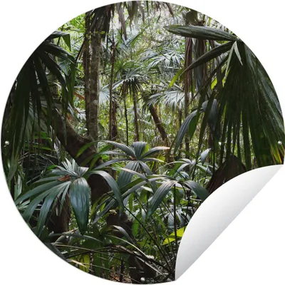 Produktbild von MuchoWow® Gartenposter Outdoor-Poster Rund Pflanzen im Regenwald Ø 60 cm Gartendeko Rundes Poster draußen