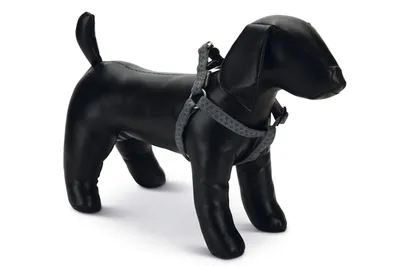 Produktbild von Beeztees - Hundegeschirr - Mac Leder - grau - 60-100 cm