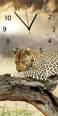 Produktbild von Wallario Design Wanduhr bedruckt, Größe 30 x 60 cm, Motiv: Leopard auf Baumstamm in Afrika