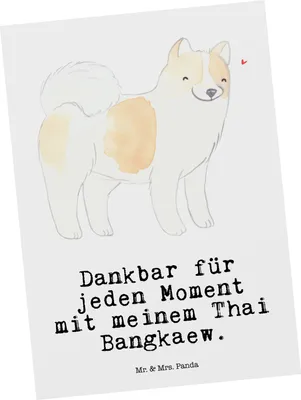 Produktbild von Mr. & Mrs. Panda einzelkarte Thai Bangkaew Moment - Weiß - Geschenk, Ansichtskarten, Grußkarte, Postkarte, Dog, Kunstkarten, Ansichtskarte, Postkarten
