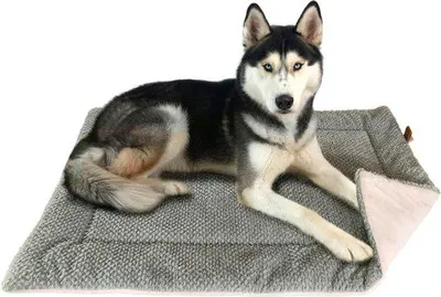 Produktbild von Famanu Hundedecke L - Plüschig, Weich & Waschbar - Hundematte mit Imitationssuede für Gute Rutschfestigkeit - Geeignet für Große & Kleine Hunde oder