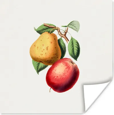 Produktbild von MuchoWow® Poster Früchte - Frühling - Blätter 50x50 cm - Wohnzimmerdekoration