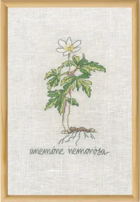 Produktbild von Permin Kreuzstich Stickpackung "Weiße Anemone", Zählmuster, 20x30cm, 70-1833