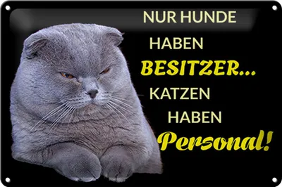 Produktbild von Blechschild Spruch 30x20cm Hund hat Besitzer Katze Personal