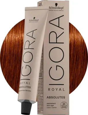 Produktbild von Schwarzkopf Igora Royal Absolutes, Blond, 6-70, Dark Blonde Copper, Frauen, 60 ml, Tube