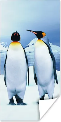 Produktbild von MuchoWow® Poster Zwei Pinguine Porträt 60x120 cm - Wandschmuck