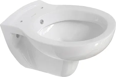 Produktbild von Belvit Wand Hänge WC Weiß Abgang Wand (waagerecht) Taharet Bidet
