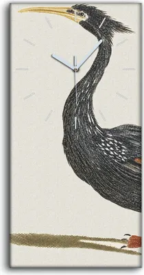 Produktbild von Wanduhr Uhr Wandbild Leinwand Geräuschlos 30x60 Zeichnung Tier Vogel Kunst - weiße Hände
