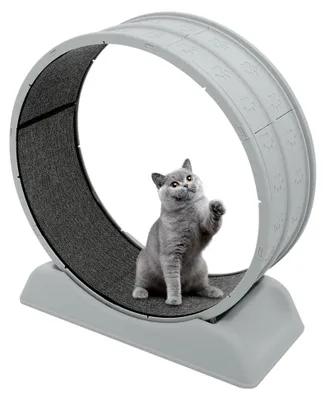 Produktbild von Katzenlaufband, 80 cm leises und sicheres Trainingsspielzeug für Katzen mit Verriegelungsmechanismus, 10 kg abnehmbares Laufband mit kratzfestem Teppich (Grau)