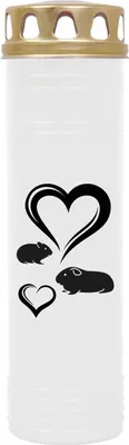 Imagen del producto de Velas para jaulas de animales pequeños, "pack de 3 unidades" - 7 días para hámsteres y cobayas