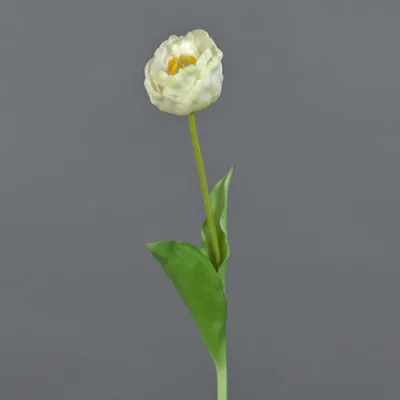 Produktbild von artplants.de Künstliche Tulpe LURANA, weiß, 60cm - Kunsttulpe