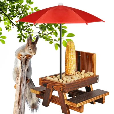Produktbild von Futterstation für Eichhörnchen mit Picknicktisch und Sonnenschirm
