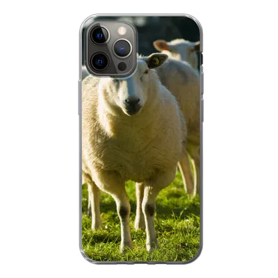 Produktbild von MuchoWow® Handyhülle Schutzhülle Hülle für iPhone 12 Pro Schafe - Tiere - Wolle Silikon Softcase Handy Hülle - Abdeckung