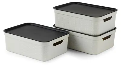 Productafbeelding van Rotho Jive opbergboxen met deksel, set van 3, 10 liter, lichtgrijs/anthraciet