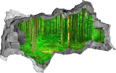 Produktbild von Selbstklebender Loch-3D-Aufkleber 95x73 cm Bäume im Wald