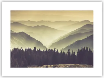 Produktbild von Poster - Poster ohne Rahmen - Berge Wald Natur - 40x30 cm - Wand Bild - Wanddeko - Wandbilder - Kunstposter - Wandposter - Bilder - Kunstdruck - Wanddekoration - Wandbild - P2XAA40x30-3820