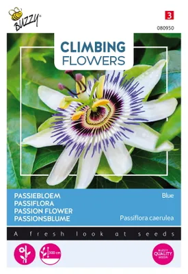Image de Buzzy Climbing Flowers Graines de passiflore bleue - Environ 0,5 gr | Buzzy_080950