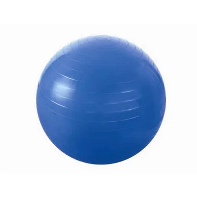 Obrázok produktu pre Gymnastická lopta HMS YB01 55 cm, modrá