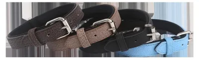 Produktbild von Patapalooza Wasserdichtes Kunstlederhalsband, robust und verstellbar, ideal für
