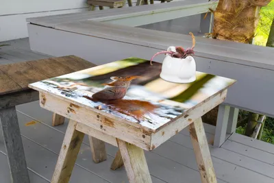 Produktbild von Wallario selbstklebende Möbelfolie/ Tischdecke für Innen und Außen, Größe: 80 x 80 cm - Neugieriges Eichhörnchen im verschneiten Wald