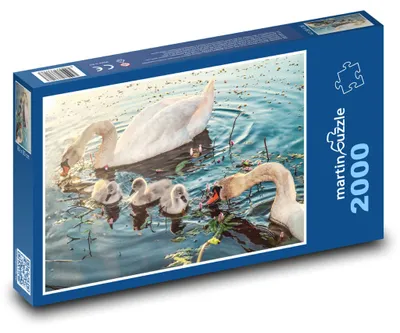 Obrázek produktu pro martinpuzzle - Puzzle 2000 - Labutí rodina