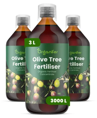 Zdjęcie produktu dla Drzewo Oliwne Nawóz Płynny 3x1 L – 2-1-8 NPK – Do Olivovníky – Podporuje Stabilny, Witalny Wzrost – Organifer