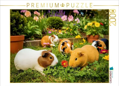 Produktbild von CALVENDO Puzzle Im Garten. | 2000 Teile Lege-Größe 90x67cm Foto-Puzzle für glückliche Stunden