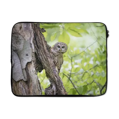 Produktbild von MuchoWow® Laptop Hülle 17 Zoll Laptoptasche Eule - Wald - Licht - Zipper - Schutzabdeckung