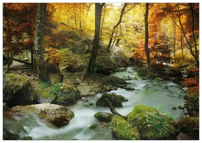Produktbild von Wallario Premium Glasbild, freischwebende Optik, kräftige Farben, Größe 100 x 70 cm Motiv Wasserfall mit moosbedeckten Steinen im Herbstwald