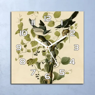 Produktbild von Deko Glasuhr Wanduhr 30x30 Vögel auf einem Ast Quarz Küchenuhr Bürouhr