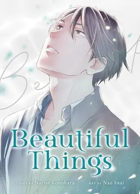 Immagine prodotto di Beautiful Things: The Complete Manga Collection