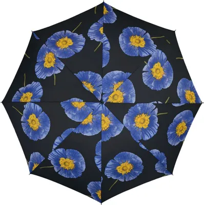 Produktbild von Pierre Cardin Taschenschirm Damenregenschirm Blumenmotiv Auf-Zu-Automatik
