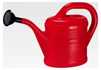 Produktbild von Kunststoff-Gießkanne 2 Liter mit Brausekopf