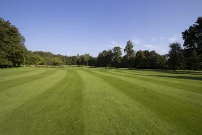 Produktbild von DSV-Rasensamen 4.4.5 Masters Fairway 10kg