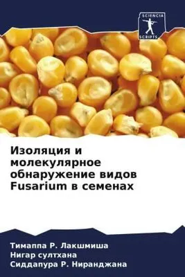 Produktbild von Izolqciq i molekulqrnoe obnaruzhenie widow Fusarium w semenah