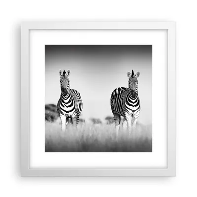 Produktbild von Gerahmtes Poster - Weißer Rahmen - Zebras Fotografie Schwarzweiß - 30x30 cm - Wand Bild - Wanddeko - Wandbilder - Kunstposter - Wandposter - Bilderrahmen - Bilder - Kunstdruck - P2WAC30x30-4476