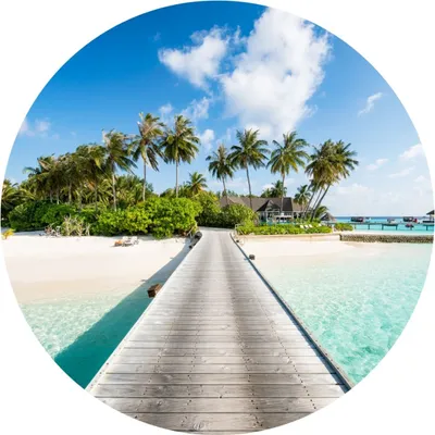 Produktbild von Sticker BRÜCKE Strand Palmen Meer Pflanzen Wolken Natur Landschaft 3D Wanddeko Aufkleber für Wohnzimmer Flur 100 cm x 100 cm
