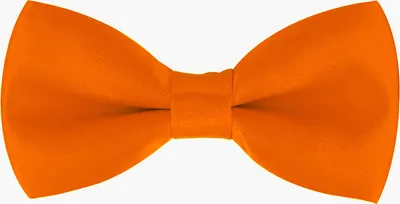 Immagine prodotto di papillon per bambini axy, papillon per bambini 10 x 5 cm, già annodato, regolabile, lucido, effetto seta, moda matrimonio e festa