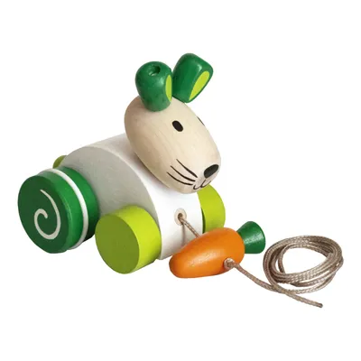 Produktbild von Kaninchen mit Karotten