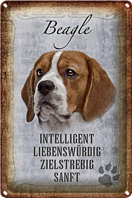 Produktbild von Blechschild Spruch 18x12cm Beagle Hund