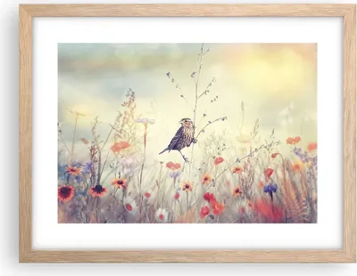 Produktbild von Gerahmtes Poster - Rahmen in heller Eiche - Vogel Wildschwein Wiese - 40x30 cm - Wand Bild - Wanddeko - Wandbilder - Wandposter - Bilderrahmen - Bilder - Kunstdruck - Wandbild - P2NAA40x30-4279
