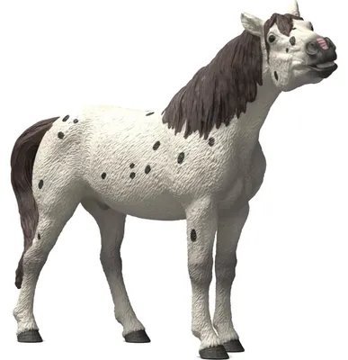 Produktbild von schleich BAYALA 14916, 5 Jahr(e), Mehrfarbig, Kunststoff